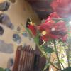 Casa Rural Las Rosas