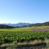 Domaine de Provensol