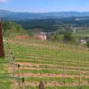 Vineyard Cottage Lustek