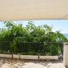 Apartamentos Les Barbes