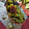 Wine & Nature & Tour