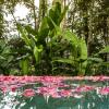 Jalan Subak Sala Banjar Sala, Ubud, Bali, Indonesia.