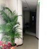 Residenza S.Event B&B