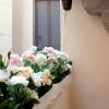 Velvet Loft - Santo Spirito Apartment
