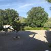 El Domingo en el Valle