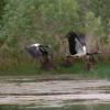 1 Flinders Street, Jabiru NT 0886, Australia.