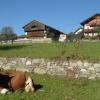 Moarhof
