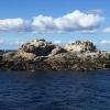 Bed And Toast