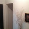 Habitaciones Baobab