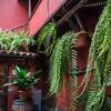 Hotel Rural Orotava