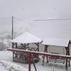 Vila Bucovina