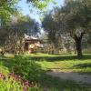 B&B Sa Ingia