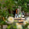 Weingut Martinshof