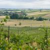 Weingut Martinshof