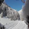 Bed & Breakfast Dolomiti Bey Haus Pinter