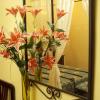 Hostal El Lirio