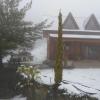 Agros Timber Log House