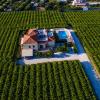 Cretan Vineyard Hill Villa