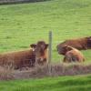 Whidlecombe Farm