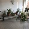Guesthouse Flora