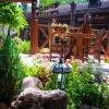 Hotel BACHUS