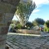 Casa Calendule
