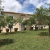 Olive Grove