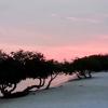 Aruba Surfside Marina