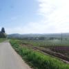 Les Marronniers