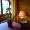 Chalet aux pied des vignes