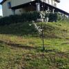 B&B Sa Soliana