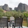 Olive Grove