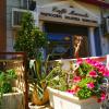 B&B Oleaster - Bolognetta