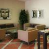 TH Boadilla