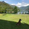 villa Etti cipat 66115