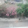 Olympic View Guesthouse