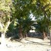 Cortijo la Colá