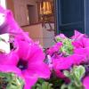 Ena Hotel