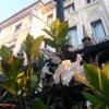 Ena Hotel