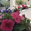Angeliki Studio & Apartment