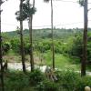 Coconutbeach Bungalows