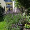 Aux Herbes Folles