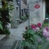 Rooms Svalina
