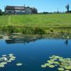 Fernside Bed and Breakfast