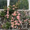 La Casita Del Castañar