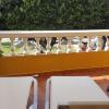 Aunt Antonia Beach House