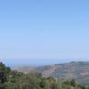 Agriturismo Ilardo