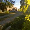 Agriturismo Podere Molino