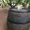 Finca El Vergel Rural
