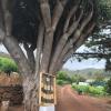 Finca El Vergel Rural